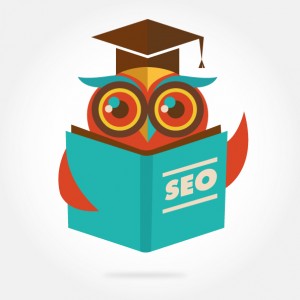 Wise-SEO-owl